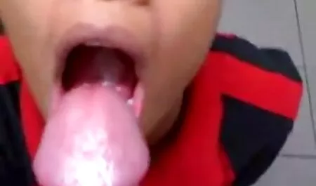 سبزه توسط یک وانت در نزدیکی حصار لعنتی می شود. عکسهای سکسی سینه