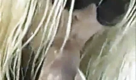 آبنوس سیاه به صورت MILF داستان سکسی تصویر دار می آید.