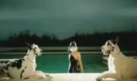 سرخ یک زن روی صندلی عکس سکسی م را لگد می زند.