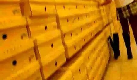 لزبین ها روی عکس سکسی چاق میز لیس می زنند و لعنتی می کنند.